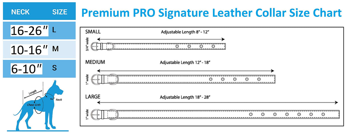 Pets First Tough Leather Pet Collar NFL SAN Francisco 49ERS Premium Dog Collar, Limited Edition, Size Large. Best & Strongest Heavy-Duty Dog Collar!, Large (20-29"" Long & 1"" Wide) (SAN-3081-LG)