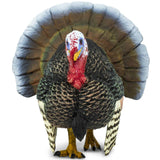 Safari Ltd. Turkey Figurine - Realistic 3" Plastic Figure - Thanksgiving Decoration or Educational Toy for Kids Ages 3+