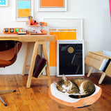 Round Dog Cat Beds Mattress Washable Pads Room, Soft Durable Plush Faux Fur Sleeping Pet Fleece Bed Mat for Small Doggy Kitten Puppy, with Anti-Slip Waterproof Bottom (Orange)