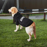 GreenJoy Dog Hoodie & Sweater - Cold Weather Coat for Puppies, Cats & Small to Large Dogs (Small, Black)