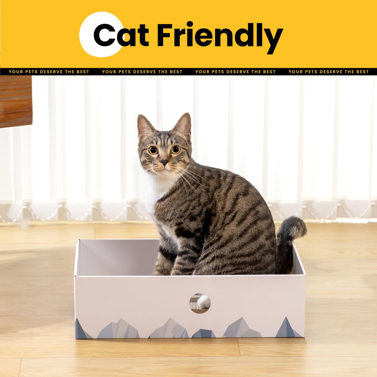 Conlun Cat Scratcher Box with Heavy-Duty Double-Sided Cardboard Pad, Cardboard Lounger, Interactive Hole Design, Cat Bed for Indoor Cats, White, Large
