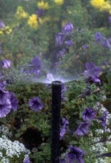 Rain Bird 1806AP Professional Pop-Up Sprinkler, Adjustable 0° - 360° Pattern, 8' - 15' Spray Distance, 6" Pop-up Height