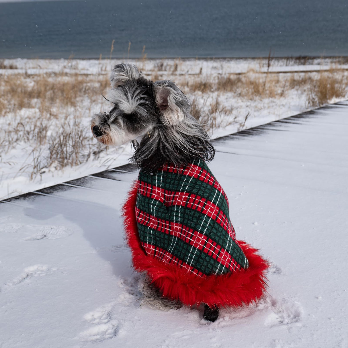 UNIPUP Dog Sweater Cloak, Pearl Cotton Bouclé Yarn Puppy Sweater, Cold Weather Coat Knitwear for Small Dogs, Classic Turtleneck Thick Dog Clothes with Thick Fluff DS-DP01L