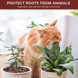 NUPICK 3 lbs Pebbles for Indoor Plants, 1/5 Inch Pea Gravel for Fish Tank, Polished Decorative Rocks for Succulent, Natural River Stones for Vases, Cactus, Landscaping, Bird Bath, Aquarium, Red