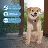 Best Pet Supplies Voyager Aerolite No Pull Mesh Dog Harness, Reflective Stitching, Breathable Harness, Adjustable for Walking, Training, Running, Heavy Duty and Durable, Beige, XL