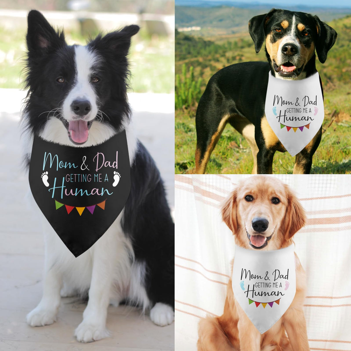 Mom & Dad are Getting Me a Human Pregnancy Announcement Dog Bandana Gender Reveal Baby Announcement Photos Prop Pet Scarf Accessories for Dog Lovers Pack of 2