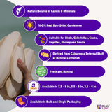 Birds LOVE 2 pc 7.5–8″ Sun-Dried Natural Cuttlebone Kit | 100 % Pure Calcium Supplement for Birds, Tortoises, Snails & Crabs | Beak & Shell Health with Metal Holder