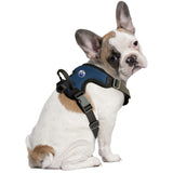 Littlearth Dog NHL Team Logo Front Clip Harness, Blue, X-Large