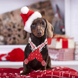 Dog Christmas Scarf Pet Puppy Xmas Knitted Costume Winter Warm Bandanas Neckerchief Cat Neck Warmer Apparel for Holiday Festive (Small, Red Black)