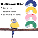 4 Pcs Bird Cone Collar Pet Anti-bite Elizabethan Collar Parrot Recovery Cone Protective Recovery Cones for Budgerigar Cockatiel Lovebirds Cockatoo Parrots (M)