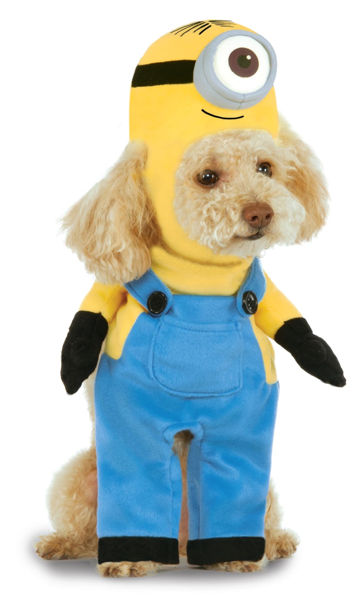 Despicable Me: Minion Stuart Pet Costume for For Dogs or Cats by Rubies, XS