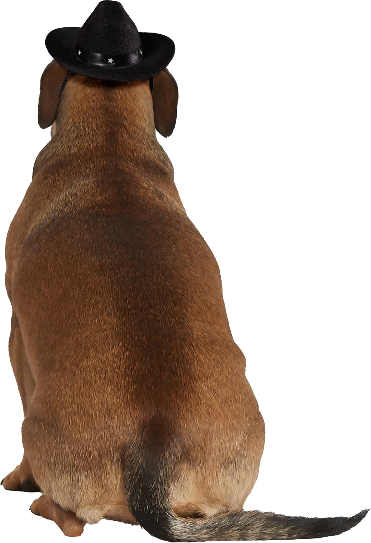 Rubies Cowboy Pet Hat for Dogs or Cats, M/L