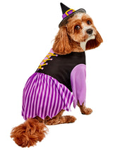 Rubies Witch Pet Costume for Dogs or Cats, Medium