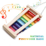 Dnoifne Colorful Bird Xylophone Toy, Suspensible Funny Xylophone Toy with 8 Metal Keys, Cage Accessories for Chicken Birds Parrots Parakeets Cockatiels Budgies Love Birds