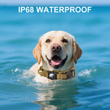 Tactical AirTag Dog Collar Leash Set - Heavy Duty, Adjustable GPS Collar Compatible with Apple AirTag, with Holder & Control Handle for Medium/Large Dogs [ Brown, M ]