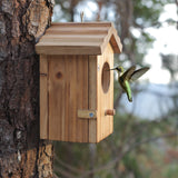 NATUREYLWL Hummingbird House for Outside Hanging, Mini Wood Birdhouse specifically for Hummingbird, Small Bird Nesting Box with Perch, Weather-resistant outdoor birdhouse, Dimensions:3.3*4.1*5.9 inch
