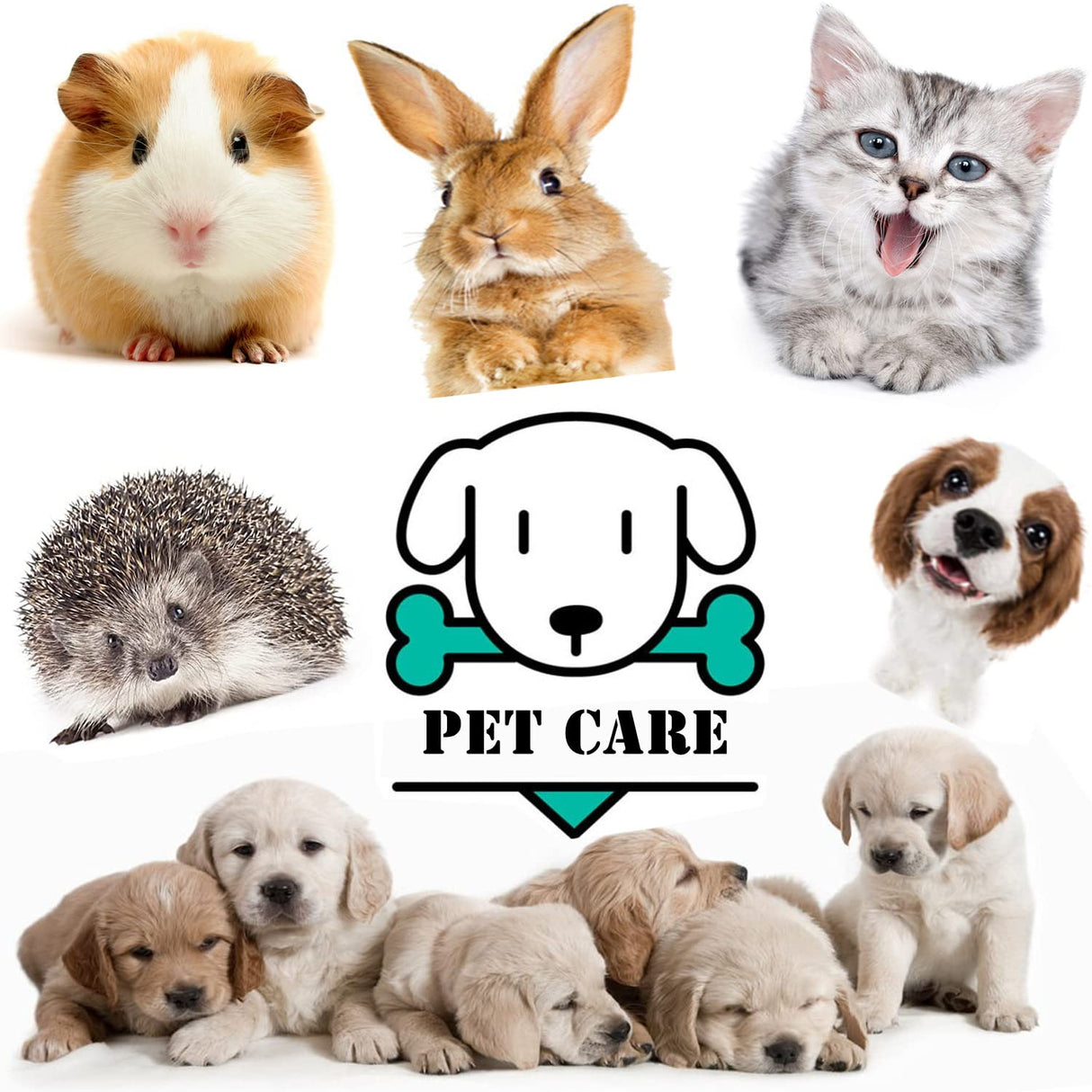 Cassielhouse Pet Feeding Bottle,pet Feeding Tool,Pet Syringe,Pet Nursing kit,Pet Puppy Bottles,Pet Pill Shooter Dispenser,Dog cat Feeding Bottle,Small Animal Silicone Nipples