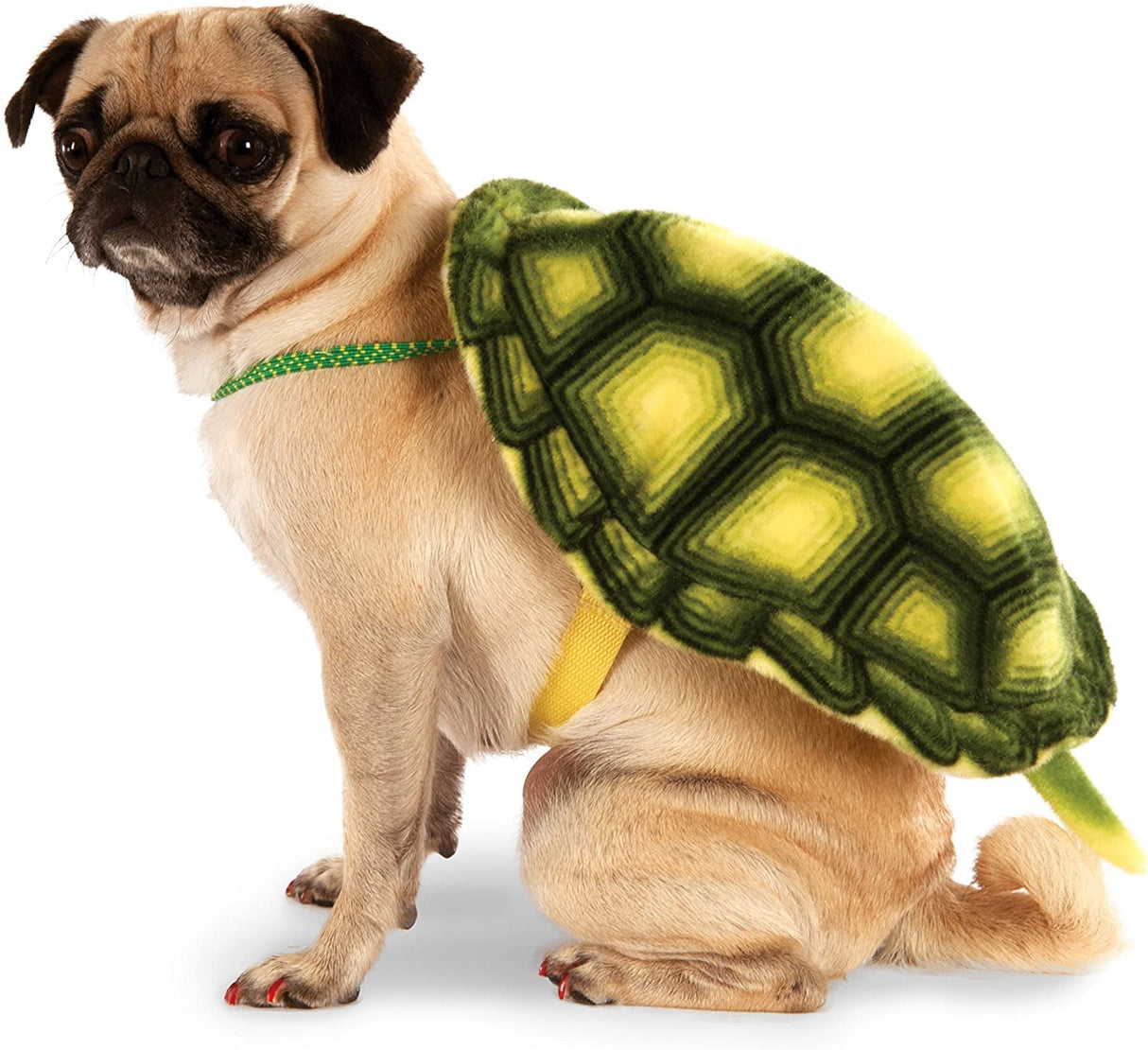 Rubies Turtle Shell Pet Costume for Dogs or Cats, M/L