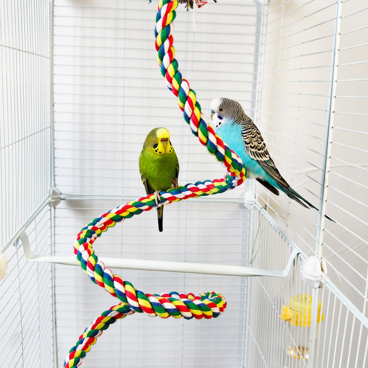 TogyGooty Bird Rope Perch & Birds Swing Set - Bird cage Accessories, Rope perches for Conures, Parrots,Cockatiel,Lovebird,Budgerigar,Parakeet perches for cage,Birds perches