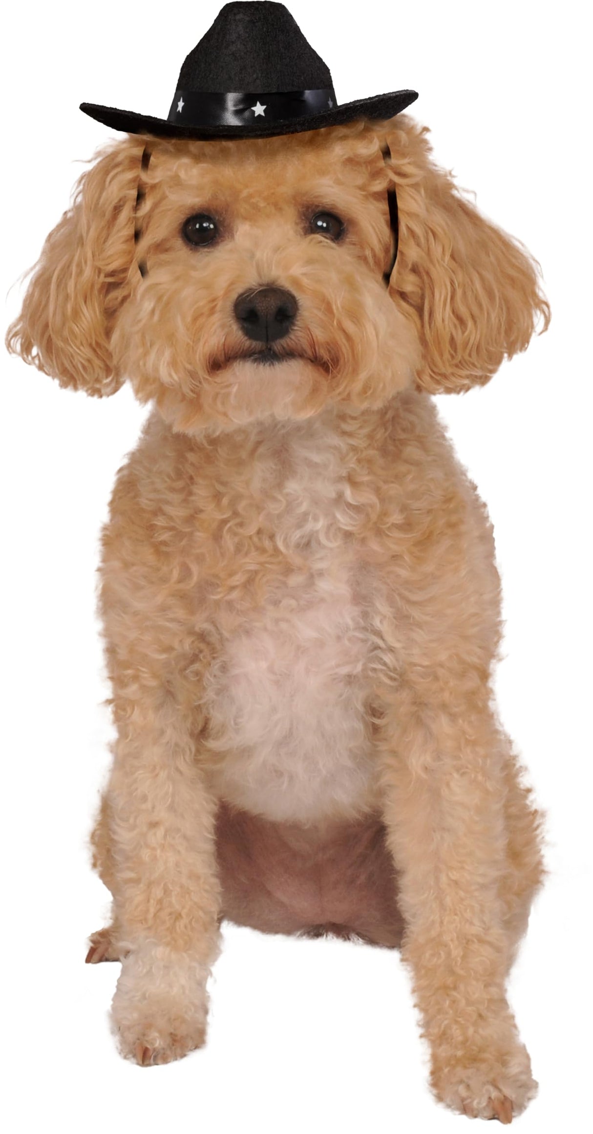 Rubies Cowboy Pet Hat for Dogs or Cats, M/L