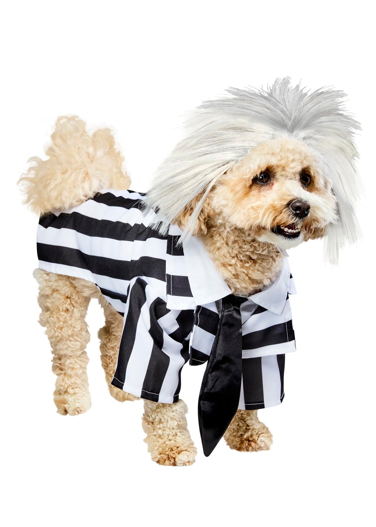 Beetlejuice: Beetlejuice Pet Costume for For Dogs or Cats by Rubies, Large