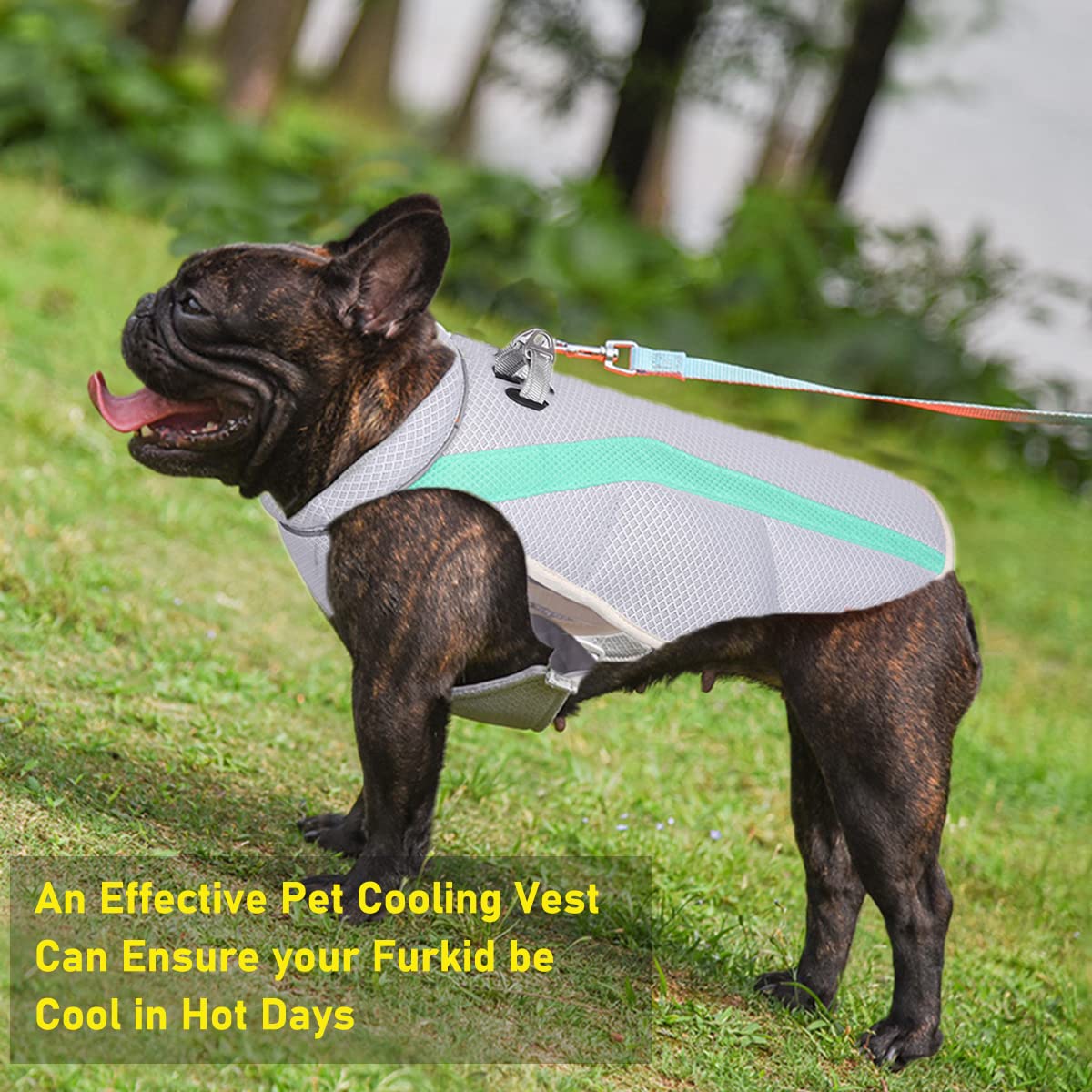 Dog Cooling Coat Dog Shirts Summer Clothes Lightweight Jacket with Evaporative Cool Adjustable Pet Harness for Large Dogs for Outdoor Walking