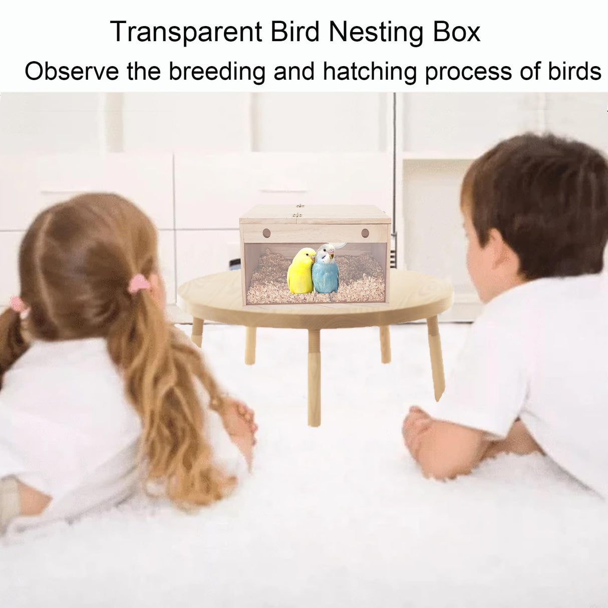 Tfwadmx Parakeet Nesting Box Transparent Bird Nest Box Wood Bird House for Cage Budgie Breeding Boxes for Parrotlets, Lovebirds and Other Small Sized Birds 7.8" x 4.7" x 4.7"