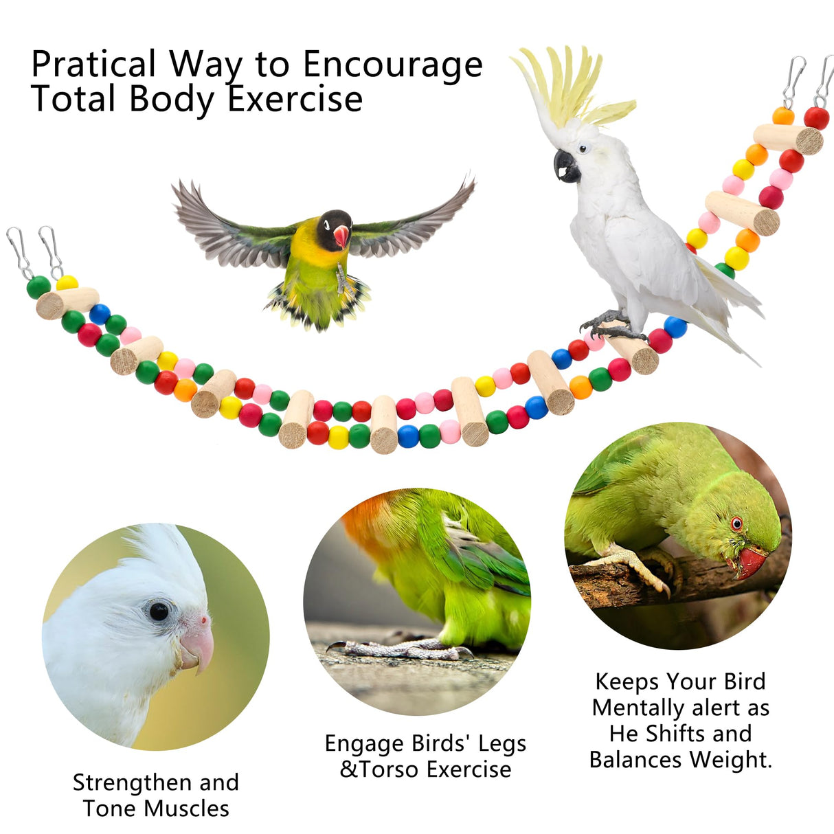 11-Step Bird Ladder Bridge,21.26 x 3.15 inches Raw Wood and Edible Dye,Pet Hamster Climbing Ladder Swing Toys Suitable for Small to Medium Birds,Bird Cage Accessories (11 Ladders)