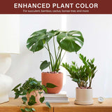 NUPICK 3 lbs Pebbles for Indoor Plants, 1/5 Inch Pea Gravel for Fish Tank, Polished Decorative Rocks for Succulent, Natural River Stones for Vases, Cactus, Landscaping, Bird Bath, Aquarium, Red