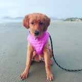 Gooby Puffer Vest Dog Jacket - Purple, X-Small - Ultra Thin Zip Up Wind Breaker with Dual D Ring Leash - Water Resistant Small Dog Sweater Coat - Dog Clothes for Small Dogs Boy or Medium Dogs, (12")