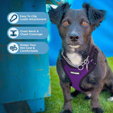 Voyager Step-in Pet Harness - All Weather Mesh, Adjustable Step in Harness for Cats and Dogs by Best Pet Supplies - Purple/Black Trim, M