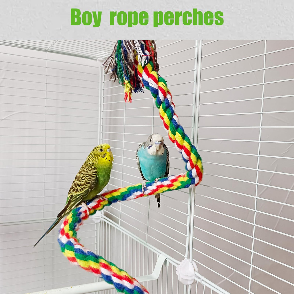TogyGooty Bird Rope Perch & Birds Swing Set - Bird cage Accessories, Rope perches for Conures, Parrots,Cockatiel,Lovebird,Budgerigar,Parakeet perches for cage,Birds perches