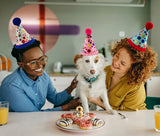 Arogheiz 3/4/5Pcs Small Cats Dogs Birthday Hats Set，Kitten Puppies Party Decoration Hats Grooming Accessories (4 Pcs Dot Print)