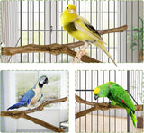 kathson Natural Parrot Perch Bird Stand Pole Wild Grape Stick Paw Grinding Fork Parakeet Climbing Standing Branches Toy Chewable Cage Accessories for Small Budgies Cockatiels Lovebirds