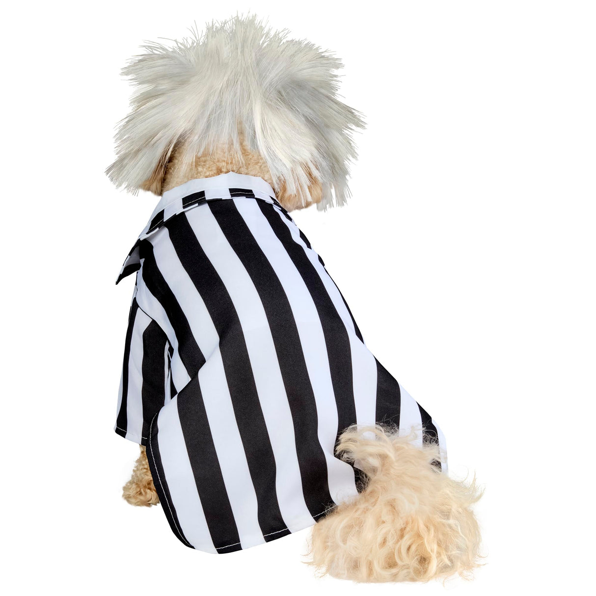 Beetlejuice: Beetlejuice Pet Costume for For Dogs or Cats by Rubies, Large
