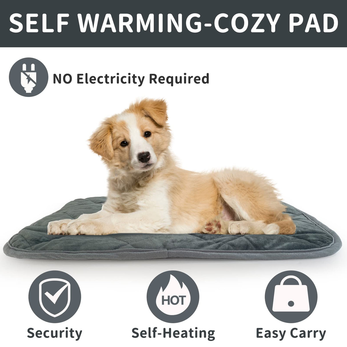 AUPETEK Self-Warming Cat Bed Indoor/Outdoor Super Soft Self Heating Pet Mat Washable Thermal Pad for Cat & Dog 21x15.7 inch