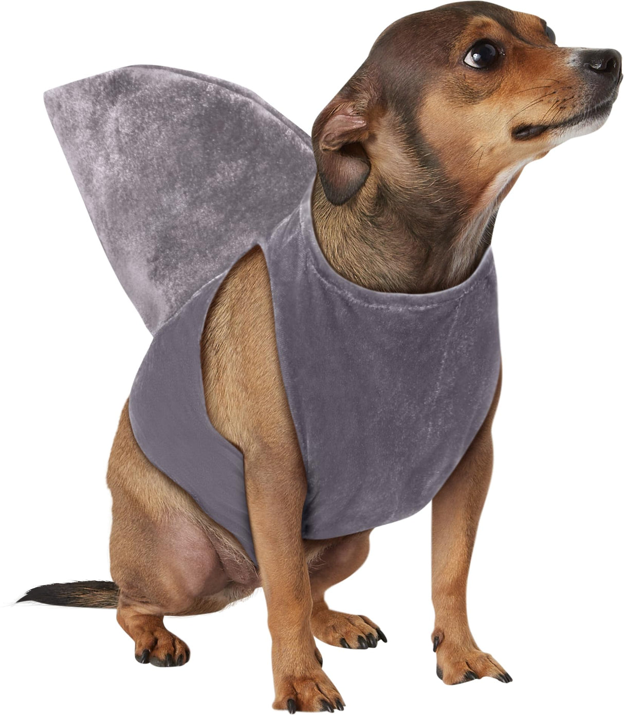 Rubies Shark Fin Pet Costume for Dogs or Cats, M/L
