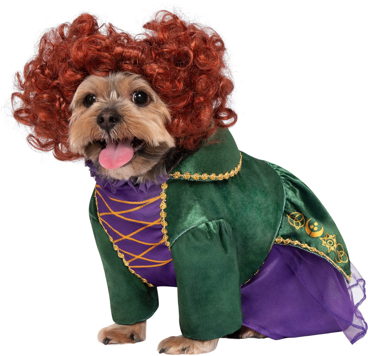Rubies Disney Hocus Pocus: Winifred Sanderson Pet Costume for For Dogs or Cats, Small