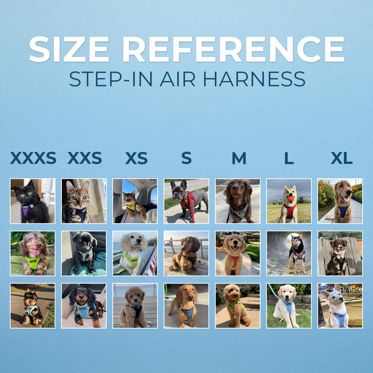 Voyager Step-in Air Dog Harness - All Weather Mesh, Reflective, No Pull Harness for Small, Medium Dogs, Cats - Secure with Hook & Loop Fastener, Buckle, Double D-Rings - Army/Black Trim, S