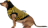 Rubies Bumble Bee Pet Costume for Dogs or Cats, Medium