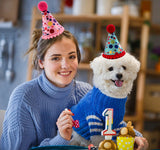 Arogheiz 3/4/5Pcs Small Cats Dogs Birthday Hats Set，Kitten Puppies Party Decoration Hats Grooming Accessories (4 Pcs Dot Print)