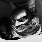 Cat Mask Cosplay, Cat Halloween Costumes, Funny Cat Costumes Accessories (Large)