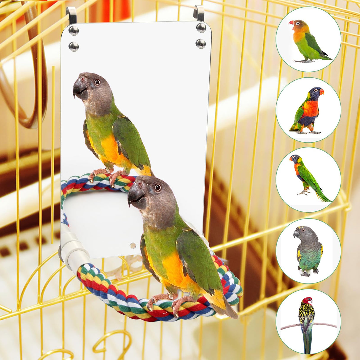 Coolrunner 9.4 Mirror for Bird Parrot and Cage, White, With Rope