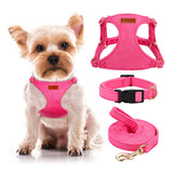 No Pull Dog Harness- Lightweight, Soft, Adjustable Small Harness Collar and Leash Set, Suitable for Cats Puppy Small and Medium-Sized Dog Outdoor Training and Running (hotpink, XXS)