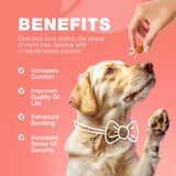 Dog Flea And Tick Treatment Chews FleaTick Prevention For Dogs Chewables Natural Dog Flea & Tick Control Soft Treats Immune Support Supplement