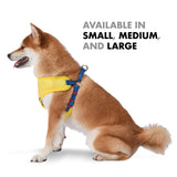 Star Wars for Pets C3PO Dog Harness for Medium Dogs, Medium (M) | Yellow Medium Dog Harness, No Pull Dog Harness with D-Ring | Machine Washable Merch for Dogs Dog Costume