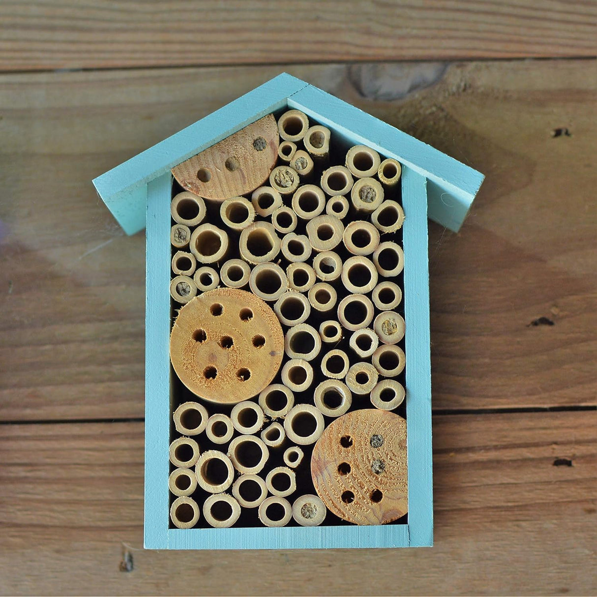 Nature's Way Bird Products PWH1-C Teal Bee House