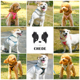 No Pull Dog Harness- Lightweight, Soft, Adjustable Small Harness Collar and Leash Set, Suitable for Cats Puppy Small and Medium-Sized Dog Outdoor Training and Running (hotpink, XXS)