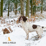 Dog & Field Deluxe Gundog Slip Leash - Olive Green. Soft Spliced Marine Rope Slip Leash for Dogs with Rubber Stopper, Easy to Slip On, No Collar Or Harness Needed. Training Lead for Dogs, One Size