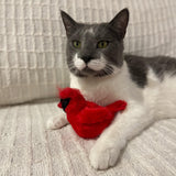 SPOT Song Birds Cat Toy- Touch Activated Singing Catnip Toy Mimics Real Bird Songs, Battery Operated Toy Satisfies Cat's Natural Urge to Hunt - One 5" Song Bird, Assorted Colors